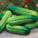 25 Seeds Pick A Bushel Cucumbers Hybrid Cucks 50 Days Harvest Vegetable Garden Fast Shipping 25 Seeds Pick A Bushel Cucumbers Hybrid Cucks 50 Days Harvest Vegetable Garden Fast Shipping