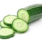 25 Seeds New Mexico Cucumbers 68 Long 54 Day Harvest Garden Canning Fast Shipping 25 Seeds New Mexico Cucumbers 68 Long 54 Day Harvest Garden Canning Fast Shipping