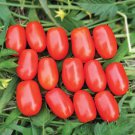 50 Seeds Red Candy Tomato Tomatoe Vegetable Garden Edible Canning Fast Shipping 50 Seeds Red Candy Tomato Tomatoe Vegetable Garden Edible Canning Fast Shipping