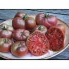50 Seeds PrudenS Purple Tomato Tomatoe Vegetable Garden Edible Canning Fast Shipping 50 Seeds PrudenS Purple Tomato Tomatoe Vegetable Garden Edible Canning Fast Shipping