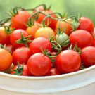 50 Seeds Power Pops Tomato Tomatoe Vegetable Garden Edible Canning Fast Shipping 50 Seeds Power Pops Tomato Tomatoe Vegetable Garden Edible Canning Fast Shipping