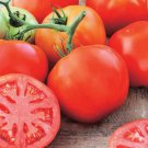 50 Seeds Pinkalicious Tomato Tomatoe Vegetable Garden Edible Canning Fast Shipping 50 Seeds Pinkalicious Tomato Tomatoe Vegetable Garden Edible Canning Fast Shipping
