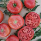 50 Seeds Pink Cupcake Tomato Tomatoe Vegetable Garden Edible Canning Fast Shipping 50 Seeds Pink Cupcake Tomato Tomatoe Vegetable Garden Edible Canning Fast Shipping