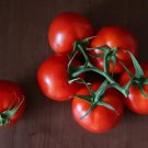 50 Seeds Cold Set Tomato Tomatoe Vegetable Garden Edible Canning Fast Shipping 50 Seeds Cold Set Tomato Tomatoe Vegetable Garden Edible Canning Fast Shipping