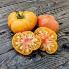 50 Seeds Northern Lights Tomato Tomatoe Vegetable Garden Edible Fast Shipping 50 Seeds Northern Lights Tomato Tomatoe Vegetable Garden Edible Fast Shipping