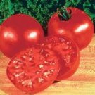 50 Seeds Mountain Man Tomato Tomatoe Vegetable Garden Edible Canning Fast Shipping 50 Seeds Mountain Man Tomato Tomatoe Vegetable Garden Edible Canning Fast Shipping