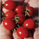50 Seeds Mini Charm Tomato Tomatoe Vegetable Garden Edible Canning Fast Shipping 50 Seeds Mini Charm Tomato Tomatoe Vegetable Garden Edible Canning Fast Shipping