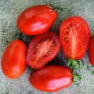 50 Seeds MartinoS Roma Tomato Tomatoe Vegetable Garden Edible Canning Fast Shipping 50 Seeds MartinoS Roma Tomato Tomatoe Vegetable Garden Edible Canning Fast Shipping