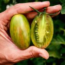 50 Seeds Lucky Tiger Tomato Tomatoe Vegetable Garden Edible Food Fast Shipping 50 Seeds Lucky Tiger Tomato Tomatoe Vegetable Garden Edible Food Fast Shipping