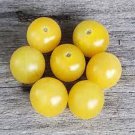 50 Seeds Lemon Drop Tomato Tomatoe Vegetable Garden Edible Food Fast Shipping 50 Seeds Lemon Drop Tomato Tomatoe Vegetable Garden Edible Food Fast Shipping