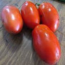 50 Seeds La Roma Iii Tomato Tomatoe Vegetable Garden Edible Food Fast Shipping 50 Seeds La Roma Iii Tomato Tomatoe Vegetable Garden Edible Food Fast Shipping