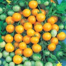 50 Seeds Honey Bunch Yellow Tomato Juicy Tomatoe Vegetable Garden Edible Food Fast Shipping 50 Seeds Honey Bunch Yellow Tomato Juicy Tomatoe Vegetable Garden Edible Food Fast Shipping