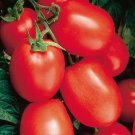 50 Seeds Health Kick Tomato Juicy Tomatoe Vegetable Garden Edible Food Fast Shipping