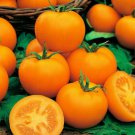 50 Seeds Goldene Konigin Tomato Juicy Tomatoe Vegetable Garden Edible Food Fast Shipping 50 Seeds Goldene Konigin Tomato Juicy Tomatoe Vegetable Garden Edible Food Fast Shipping