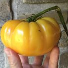 50 Seeds Giallo De Summer Tomato Juicy Tomatoe Vegetable Garden Edible Food Fast Shipping 50 Seeds Giallo De Summer Tomato Juicy Tomatoe Vegetable Garden Edible Food Fast Shipping