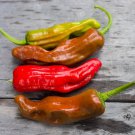 25 Seeds Italian Pepperoncini Pepper Garden Vegetables Edible Food Fast Shipping 25 Seeds Italian Pepperoncini Pepper Garden Vegetables Edible Food Fast Shipping