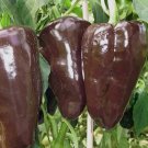 25 Seeds Mulato Chile Pepper Garden Vegetables Edible Food Fast Shipping 25 Seeds Mulato Chile Pepper Garden Vegetables Edible Food Fast Shipping