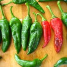 25 Seeds Chimayó Chile Pepper Garden Vegetables Edible Food Fast Shipping 25 Seeds Chimayó Chile Pepper Garden Vegetables Edible Food Fast Shipping