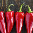 25 Seeds Fresno Pepper Garden Vegetables Edible Food Fast Shipping 25 Seeds Fresno Pepper Garden Vegetables Edible Food Fast Shipping