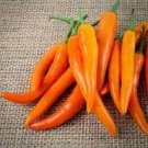 25 Seeds Bulgarian Carrot Pepper Garden Vegetables Edible Food Fast Shipping 25 Seeds Bulgarian Carrot Pepper Garden Vegetables Edible Food Fast Shipping