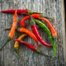 25 Seeds Jwala Finger Hot Pepper Garden Vegetables Edible Food Fast Shipping 25 Seeds Jwala Finger Hot Pepper Garden Vegetables Edible Food Fast Shipping