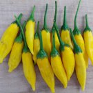 25 Seeds Lemon Drop Pepper Garden Vegetables Edible Food Fast Shipping 25 Seeds Lemon Drop Pepper Garden Vegetables Edible Food Fast Shipping