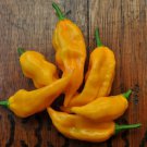 25 Seeds Fatalii Pepper Pepper Garden Vegetables Edible Food Fast Shipping 25 Seeds Fatalii Pepper Pepper Garden Vegetables Edible Food Fast Shipping
