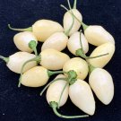 25 Seeds Yucatan White Habanero Pepper Garden Vegetables Edible Food Fast Shipping