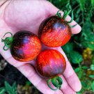 50 Seeds Dark Galaxy Tomato Juicy Tomatoe Vegetable Garden Edible Food Fast Shipping