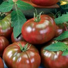 50 Seeds ChefS Choice Black Tomato Juicy Tomatoe Vegetable Garden Edible Food Fast Shipping