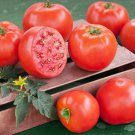 50 Seeds Bush Goliath Tomato Juicy Tomatoe Vegetable Garden Edible Food Fast Shipping 50 Seeds Bush Goliath Tomato Juicy Tomatoe Vegetable Garden Edible Food Fast Shipping