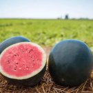 15 Seeds Black Diamond Watermelon Garden Fruit Healthy Summer Food Fast Shipping 15 Seeds Black Diamond Watermelon Garden Fruit Healthy Summer Food Fast Shipping