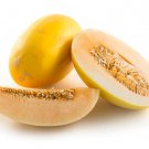 15 Seeds Asaki Melon Garden Fresh Fruit Healthy Summer Food Fast Shipping 15 Seeds Asaki Melon Garden Fresh Fruit Healthy Summer Food Fast Shipping