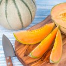 15 Seeds Charentais Melon Garden Fresh Fruit Healthy Summer Fast Shipping