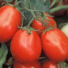 50 Seeds Argentina Cherry Tomato Tasty Juicy Vegetable Tomatoe Garden Edible Fast Shipping