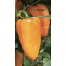 25 Seeds Aura Sweet Pepper Seeds Garden Healthy Fast Shipping 25 Seeds Aura Sweet Pepper Seeds Garden Healthy Fast Shipping