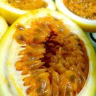 Sweet Granadilla Yellow Passion Fruit Seeds Passiflora Ligularis Climber Vine Fast Shipping