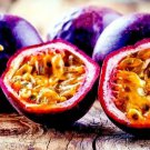Purple Passion Fruit Flower 10 Seeds Granadilla Passiflora Edulis Garden Vine Fast Shipping Purple Passion Fruit Flower 10 Seeds Granadilla Passiflora Edulis Garden Vine Fast Shipping