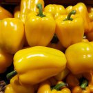 Early Summer Bell Pepper 8 Seeds Fast Shipping Early Summer Bell Pepper 8 Seeds Fast Shipping