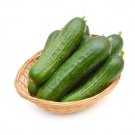 Muncher Burpless Cucumber 20 Seeds Fast Shipping Muncher Burpless Cucumber 20 Seeds Fast Shipping