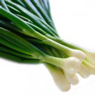 Warrior Bunching Onion 100 Seeds Fast Shipping