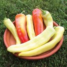 Sweet Sunset Banana Pepper Seeds Fast Shipping Sweet Sunset Banana Pepper Seeds Fast Shipping