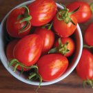 Red Torch Tomato Seeds Fast Shipping Red Torch Tomato Seeds Fast Shipping