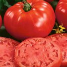 Red Beefsteak Tomato 15 Seeds Fast Shipping Red Beefsteak Tomato 15 Seeds Fast Shipping