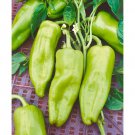 Cubanelle Italian Pepper 20 Seeds Fast Shipping Cubanelle Italian Pepper 20 Seeds Fast Shipping