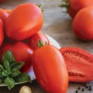 Gladiator Tomato 20 Seeds Fast Shipping Gladiator Tomato 20 Seeds Fast Shipping