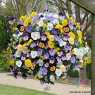 200 Cool Wave Mix Pansy Viola Seeds Fast Shipping 200 Cool Wave Mix Pansy Viola Seeds Fast Shipping