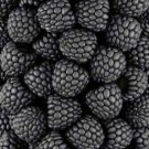 Blackberry Muras 100 Seeds Fresh This SeasonS Harvest {Rare & Exotic} Fast Shipping