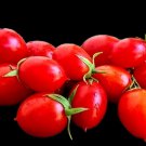 Micro Dwarf HardinS Miniature 12 Seeds Fast Shipping Micro Dwarf HardinS Miniature 12 Seeds Fast Shipping