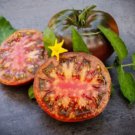 Black Krim Tomato Heirloom Heirloom Tomato 12 Seed Fast Shipping Black Krim Tomato Heirloom Heirloom Tomato 12 Seed Fast Shipping